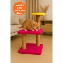 Feyza Design Renkli Katlı Yavru Kedi Tırmalama Tahtası, Eğlenceli ve Dayanıklı Tasarım