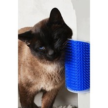 Feyza Design Kedi Kaşınma Aparatı, Duvara Monte, Masaj Fırçası, Rahatlatıcı ve Temizleyici