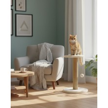Feyza Design Beyaz Renkli Kedi Tırmalama Tahtası, Eğlenceli ve Dayanıklı Tasarım