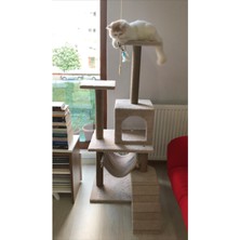Feyza Design Konforlu Kedi Tırmalama ve Oyun Evi, Yuvalı Lüx Tasarım