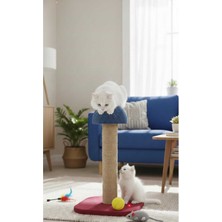 Feyza Design Yumuşak ve Dayanıklı Kedi Tırmalama Mantarı, Eğlenceli Kullanım Sağlar