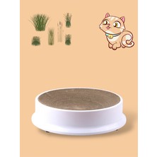 Feyza Design Dayanıklı Oluklu Mukavva Kedi Tırmalama Tahtası ve Oyun Alanı