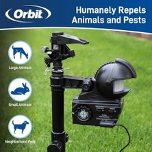 62100 Yard Enforcer Hareketle Etkinleşen Fıskiye, Gündüz ve Gece Algılama Modlu, Siyah