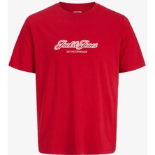 Jack & Jones Jorcatskills Çocuk Tişört