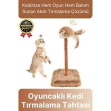Feyza Design Eğlenceli ve Dayanıklı 14X14 cm Kedi Tırmalama Tahtası, Sesli Oyuncaklı