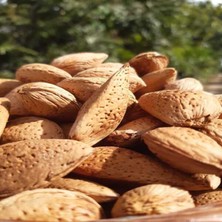 Ata Tohumu Sert Kabuklu Taş Badem 2 kg