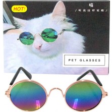 Nunbell Kedi Köpek Yuvarlak Gözlük