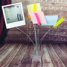 Eco Lounge Kağıt Tutacağı Kıskaçlı