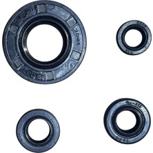 Monero Tvs Raider 125 Keçe Takımı