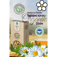 Anadolunun Özü Kır Papatyası Çayı | Sindirim Rahatlatıcı • Yumuşak İçim | Organik