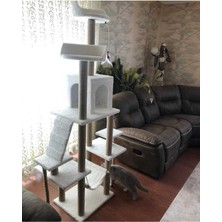 Feyza Design Rahat ve Eğlenceli Kedi Tırmalama ve Oyun Platformu, Çok Fonksiyonlu