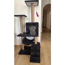 Feyza Design Renkli Kedi Tırmalama Evi ve Oyun Platformu, Eğlenceli ve Rahat Alan