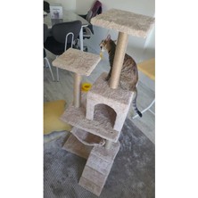 Feyza Design Yüksek Tırmalama ve Oyun Platformu, Konforlu ve Eğlenceli Tasarım