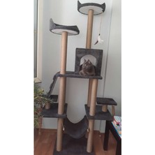 Feyza Design Yüksekli ve Genişliğiyle Eğlence ve Dinlenme Alanı Sunan Kedi Platformu