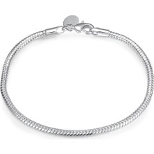 Kumi 925 Ayar Gümüş Charm Takılabilir Kadın Erkek Unisex Gümüş Yılan Bileklik Hediyelik