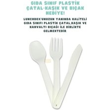 Skygo Bento 1600ML Lunchbox Sevimli Kedi Desenli Tek Katlı 2 Bölmeli Pp Plastik Sefer Tası Yemek Kutusu