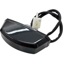 Tvs Raider 125 Plaka Lambası K2220120