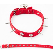 Dokuma Çivili Köpek Boyun Tasması - 4*70 cm - Kırmızı