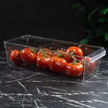 Skygo Pet Buzdolabı Düzenleyici (M)