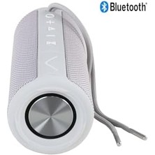 Skygo Desibel H500 Bluetooth Hoparlör Gri