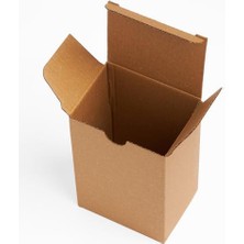 Skygo Karton Kutu 8 x 6 x 12 cm 25 Adet