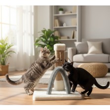 Feyza Design Sevimli Dostlar Için Renkli Fırçalı Tırmalama Tahtası