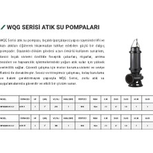 Kentaş 90WQG30-10-2.2 Atık Su Pompası