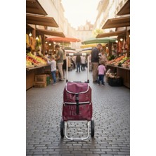 Vadi Teleskopik Saplı Su Geçirmez Çantalı Alüminyum Gövdeli Katlanabilir Pazar Arabası