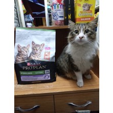 Purina Pro Plan Kısırlaştırılmış Yavru Kedi Kuru Mama Somonlu 3kg