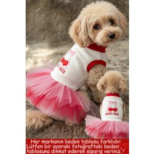 Feyza Design Sevgililer Günü Özel Tasma ve Kıyafet Seti, Sevimli Evcil Hayvanlar Için