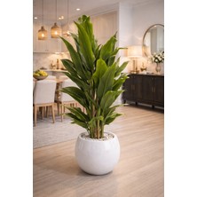 YAPAY ÇİÇEK - SALON BİTKİSİ Elit Organizasyon & Tasarım Elitluxe Design Premium Yapay Tropikal Bitki – Beyaz Saksılı Lüks Seri