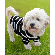 Feyza Design Siyah Çizgili Ince Sweatshirt, Şık ve Rahat Giyim Seçeneği