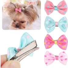 Feyza Design 4'lü Kedi Köpek Toka Seti, Şık ve Dayanıklı Aksesuarlar
