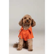 Feyza Design Yazlık Turuncu Keten Köpek Gömlek, Şık ve Hafif Tasarım