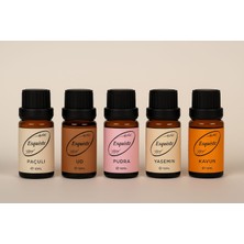 Esquiste 5’li Premium Esans Seti – Paçuli / Ud / Pudra / Yasemin / Kavun (10 ml x 5)