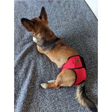 Feyza Design Yıkanabilir Dişi Köpek Regl ve Çiş Külodu Pedli, Rahat ve Güvenli Kullanım