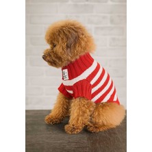 Feyza Design Rahat ve Şık Örgü Kedi ve Köpek Kazakları, Sevimli Tasarımlar