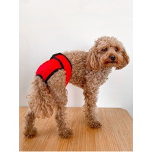 Feyza Design Kırmızı Köpek Regl Külotu, Dişi Köpek Çiş Bezi, Konforlu ve Şık Tasarım