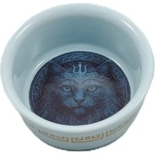 Vetcopet Raccoon Olimpos Poseidon Seramik Kedi Mama Su Kabı 300 ml