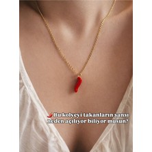 Sirius Jewelry 316L Çelik | Biber Kolye ( Corno Şans Boynuzu )