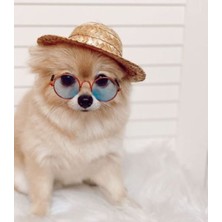 Feyza Design Sevimli Köpekler Için Rahat Hasır Fötr Şapka, Şık ve Konforlu Tasarım