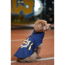 Feyza Design Renkli Köpek Yağmurluğu, Dayanıklı ve Şık Tasarım