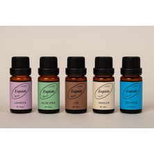 Esquiste 5’li Premium Esans Seti – Lavanta / Aloe Vera / Ud / Vanilya / Okyanus (10 ml x 5)
