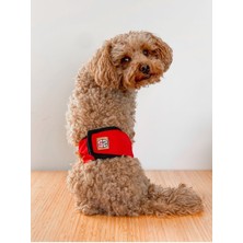 Feyza Design Kırmızı Erkek Köpek Çiş Bezi - Rahat ve Güvenli Koruma