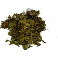 Bilfold Cinnema Gurmar Otu Gymnema Sylvestr 100 gr Paket