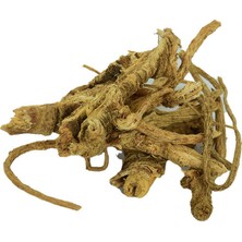 Bilfold Melekotu Kökü Doğal 100 gr Paket