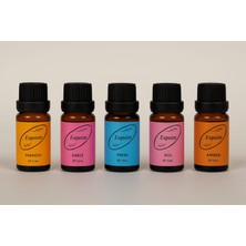 Esquiste 5’li Premium Esans Seti – Mango / Sakız / Fresh / Gül / Amber (10 ml x 5)