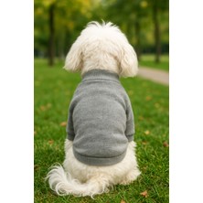 Feyza Design Gri Köpek Kazak, Sıcak ve Rahat Kışlık Köpek Giysisi