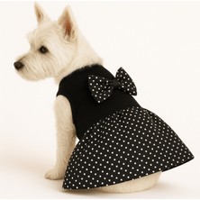 Feyza Design Küçük Irk Siyah Puantiyeli Kedi ve Köpek Elbisesi, 1-10 kg