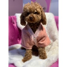 Feyza Design Yumuşak ve Rahat Peluş Hırka, Evcil Hayvanlar Için Sıcaklık Sağlar